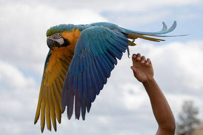 Low angle view of a bird