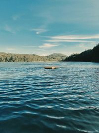 The lake in summer 