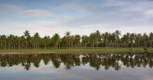 Reflection of trees in lake against sky