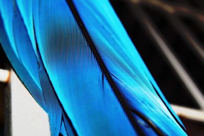 Close-up of multi colored blue