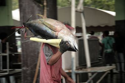 Close-up of fish hanging in container