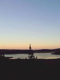 Silhouette of beach during sunset