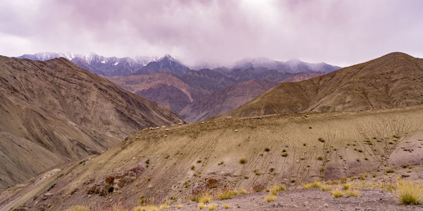 Scenes from a trek around ladakh in the indian state of jammu and kashmir in the himalayas.