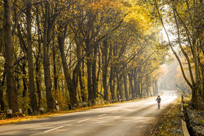 Rear view of girl riding bicycle amidst trees on road at forest during autumn