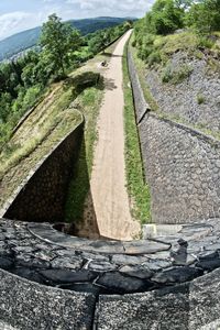 High angle view of road amidst plants