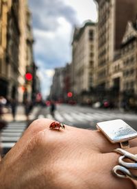 Close-up of lady bug on man hand against buildings 