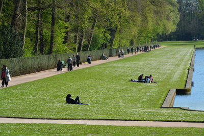 People by trees at park