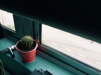 Close-up of potted plant on table