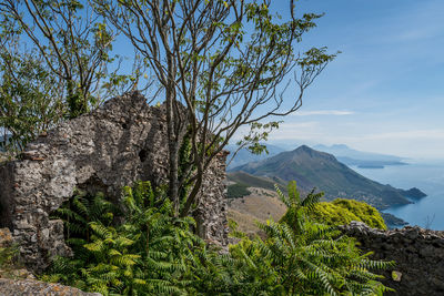 Scenic view of tree mountains against sky