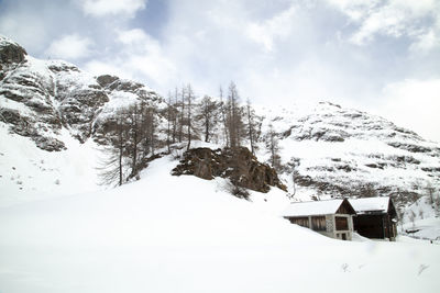 Snow covered trees and houses against sky