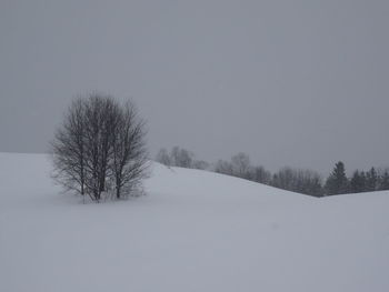 Bare trees on snow covered landscape against clear sky