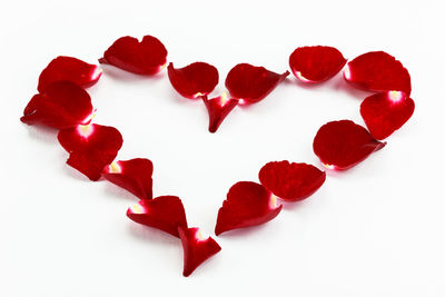 Close-up of rose petals arranged in heart shape against white background