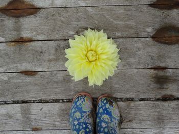 Directly above shot of yellow flower on table