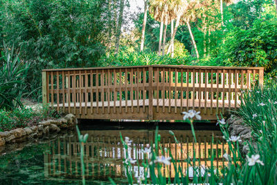 View of bridge over lake in forest