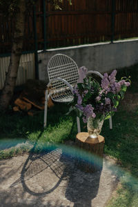 Potted plants on table in yard