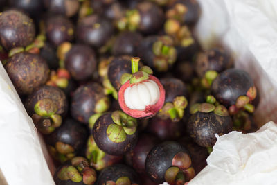 Close-up of mangosteens