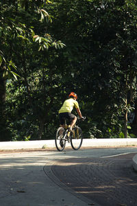 Man riding bicycle on road in city