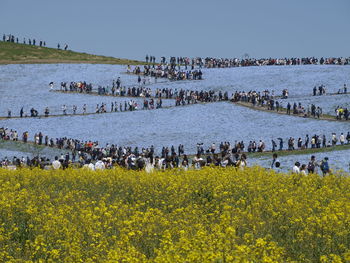 People at farm against sky