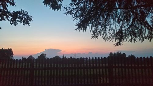 Silhouette trees on field against sky during sunset