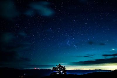 Low angle view of silhouette trees against sky at night