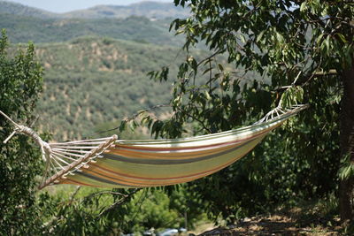 Panoramic shot of trees on landscape