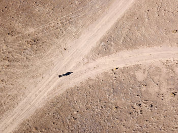 Directly above view of person standing on dirt road in desert