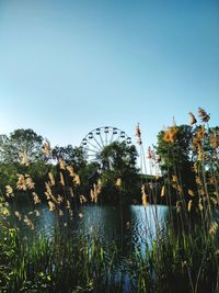 Scenic view of lake against clear blue sky