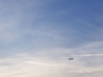 Low angle view of airplane flying in sky