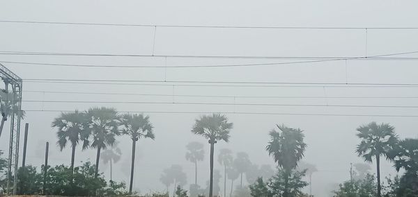 Low angle view of trees against sky