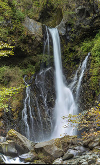 Scenic view of waterfall in forest