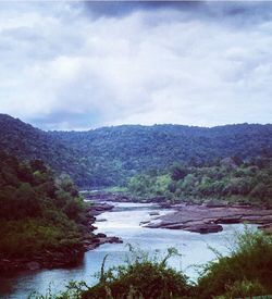 Scenic view of river passing through forest