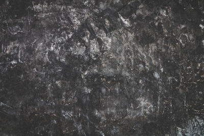 Full frame shot of wall with trees