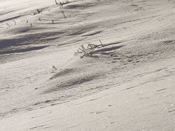 Close-up of sand