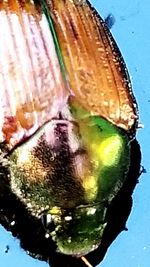 High angle view of ice cream in water