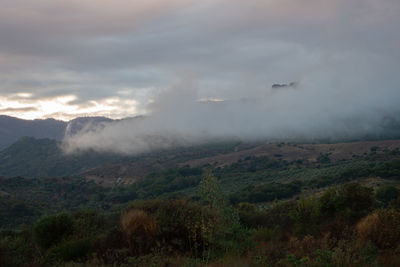 environment