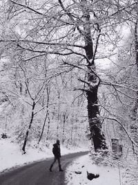 snow