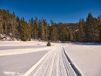 Snow covered skiing trail amidst trees against sky during winter