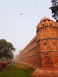 Bird flying over building