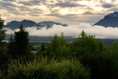 Scenic view of landscape against sky