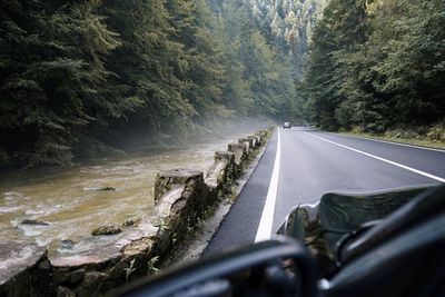 Road amidst trees in forest