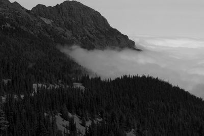 Panoramic view of landscape against sky