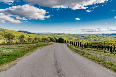 Road amidst green landscape against sky