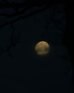 Low angle view of moon in sky at night