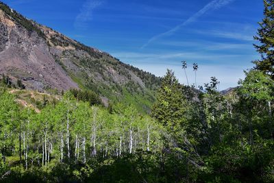 Lake blanche forest twin peaks wilderness, wasatch national forest in big cottonwood canyon utah. 