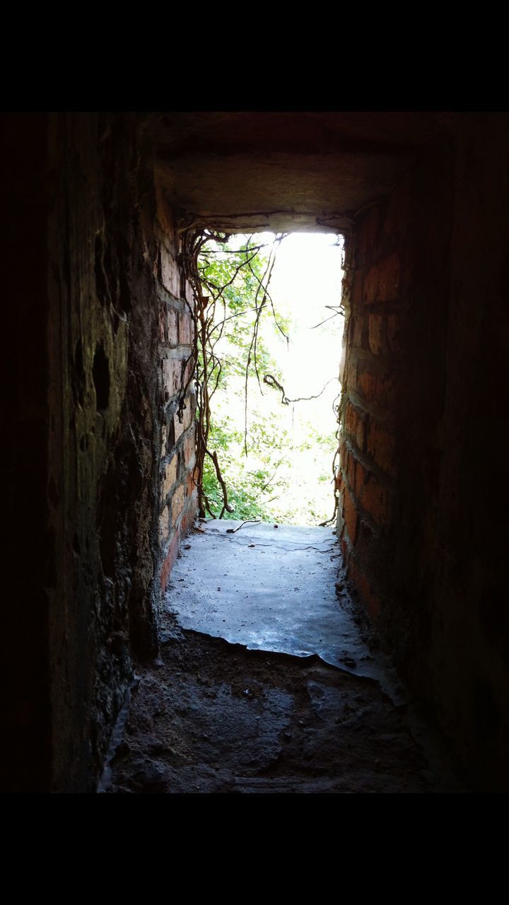 CLOSE-UP VIEW OF WINDOW