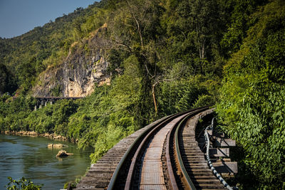 Railroad tracks amidst trees and plants