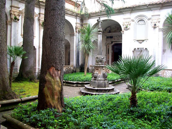 Fountain in garden