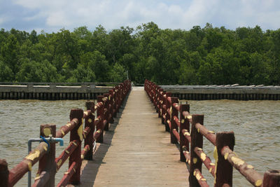 View of footbridge over river