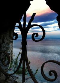 Close-up view of leaves