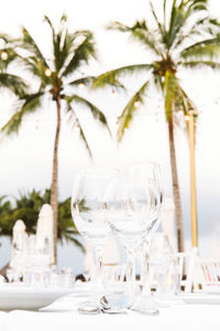 Close-up of palm decorations on table